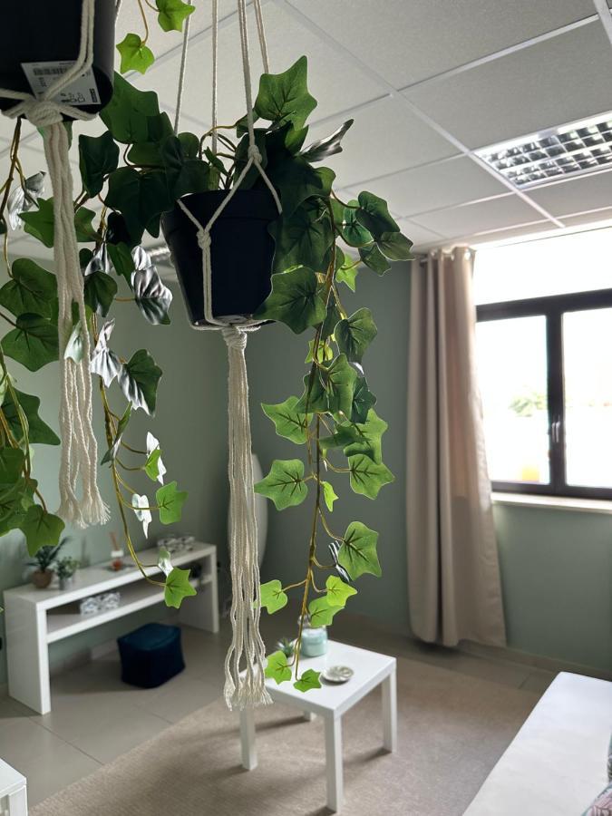 Botanical Suite Барі Екстер'єр фото